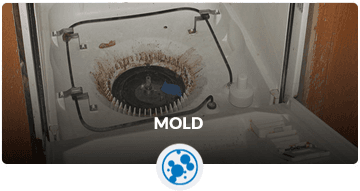 Mold